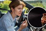 Elimina el mal olor de tu carro con estos sencillos tips
