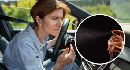Elimina el mal olor de tu carro con estos sencillos tips