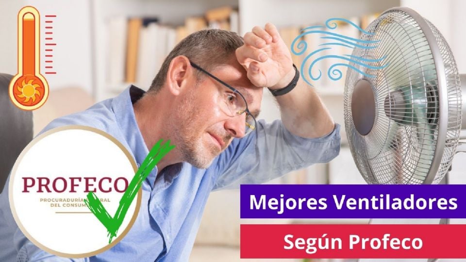 4 Mejores Ventiladores Del Mercado Según Profeco, Para Sobrevivir Al ...