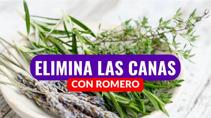 ¿Qué tan efectivo es el romero para las canas? Así puedes eliminarlas