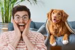 ¿En qué estado de la República ya no se podrá negar la renta de vivienda por tener mascotas?