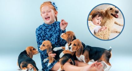 Estas son las mejores razas de perro si tienes hijos pequeños o vives con niños