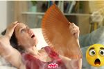 ¿Cómo mantener la casa fresca sin aire acondicionado? 5 tips para enfriarla rápido y fácil
