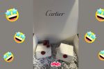 Cartier le paga a LordeDandy el ERROR MÁS CARO de su historia