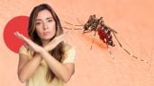 Foto ilustrativa de la nota titulada Ola de calor: 5 remedios para decirle adiós a los mosquitos