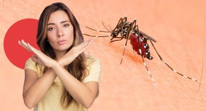 Ola de calor: 5 remedios para decirle adiós a los mosquitos