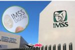 IMSS digital: ¿Cómo saco la vigencia de derechos del IMSS? Así puedes descargarla en línea