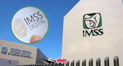 IMSS digital: ¿Cómo saco la vigencia de derechos del IMSS? Así puedes descargarla en línea