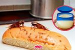 Truco casero para eliminar las cucarachas: Así puedes usar la vaselina para acabar con ellas