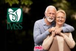 Pensión IMSS 2024: ¿Qué es mejor jubilarse a los 60 o 65 años? Estos son los beneficios