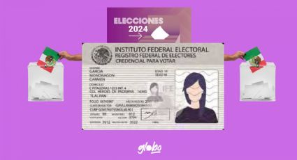 Elecciones 2024: ¿Es posible votar sin credencial de elector?