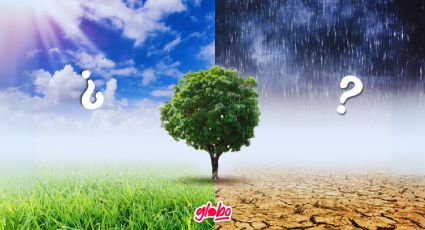 ¿Cómo estará el clima HOY?: Pronóstico para la CDMX este jueves 30 de mayo