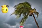 ¿Cuándo inicia la temporada de ciclones tropicales en México 2024? Estos son los que potencial ciclónico en el Pacífico y Atlántico