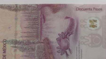 Este es el billete de 50 pesos con error que venden por la millonaria cifra de 4 millones de pesos