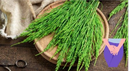 Esta es la infusión herbal que tonifica los músculos de la vejiga y combate la incontinencia urinaria