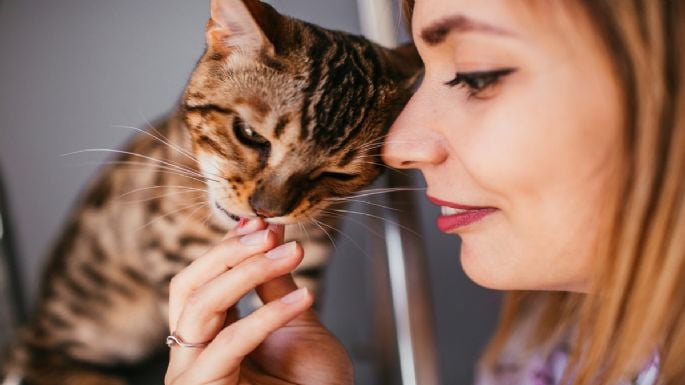 Estos son los olores para que tu gato no orine donde no debe, según experta