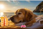 Mascotas: ¿Deben usar protector solar los perros?