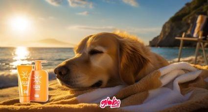 Mascotas: ¿Deben usar protector solar los perros?