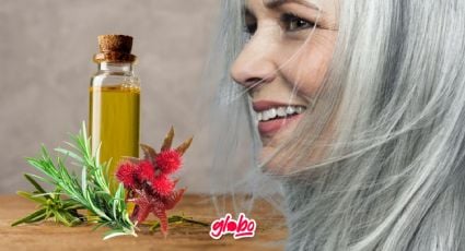 Descubre los mejores aceites para oscurecer canas y fortalecer el cabello