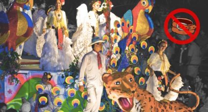 Carnaval de Veracruz 2024: Lista de Artistas invitados | Accesos y lista de artículos prohibidos
