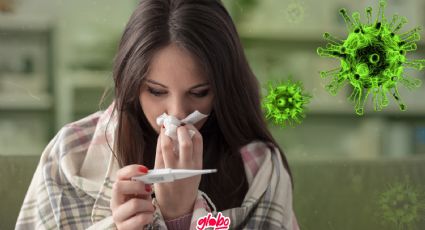 Virus H5N1: ¿Qué es, cuáles son sus síntomas y cómo se contagia?
