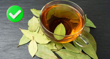 ¿Para qué sirve beber té de laurel y qué beneficios tiene tomarlo?