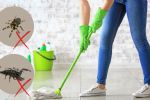 Foto ilustrativa de la nota titulada: Estos son los 2 ingredientes naturales que debes usar para trapear tu casa y alejar a alacranes y arañas