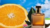 Foto ilustrativa de la nota titulada Verano 2024: Descubre los perfumes cítricos que conquistarán la temporada