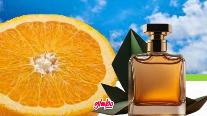 Verano 2024: Descubre los perfumes cítricos que conquistarán la temporada