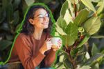 ¿Qué beneficios tiene el té de laurel por la noche y para qué sirve?