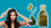 Foto ilustrativa de la nota titulada Remedio contra el frizz: Así puedes fortalecer tu cabello con el Aceite de Oliva