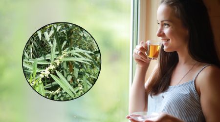 La infusión que es ‘oro’ puro para calmar los dolores de estomago y nauseas