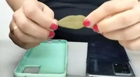 Aprende el trucazo de colocar una hoja de laurel en la carcasa de tu celular