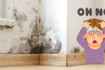 El trucazo de arquitectos para quitar las manchas de humedad de las paredes