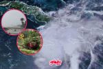Huracán Beryl golpea Tulum: Daños y fase de recuperación ¿Cuándo impactará Tamaulipas? | VIDEO