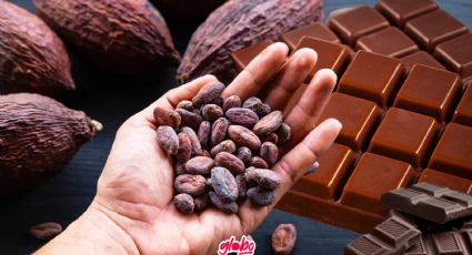 Festival del Cacao en CDMX: ¿Cuándo, dónde y qué actividades se realizarán?