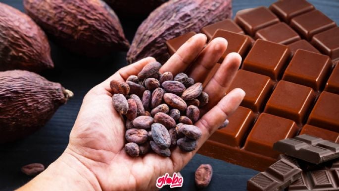 Festival del Cacao en CDMX: ¿Cuándo, dónde y qué actividades se realizarán?