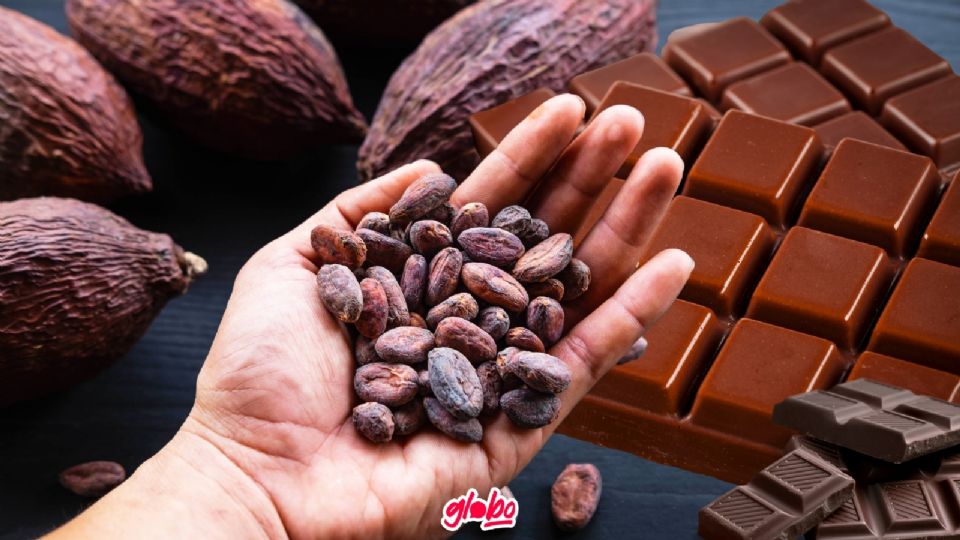 Pepara todos tus sentidos y vive el Festival del Cacao en CDMX.
