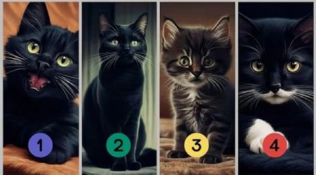 Escoge un gato negro y te diré si tienes buena o mala suerte en la vida