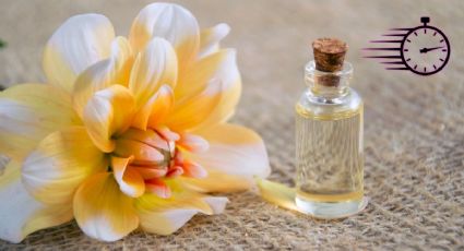 Estos son los mejores perfumes en aceite con duración por horas para mujeres: ¿Cómo usarlos?