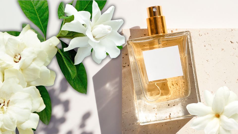 Perfumes florales con gardenia: La esencia del romanticismo en cada fragancia.