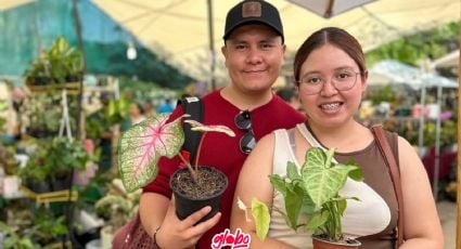 Plant Fest 2024 en CDMX: Compra plantitas desde $25 pesitos en la ex Fábrica de Harina