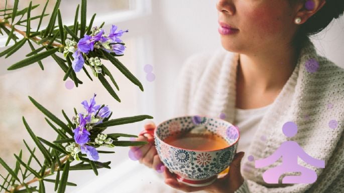 Té de romero: Así puedes preparar la infusión efectiva para el estrés