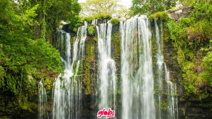 Cascadas en Hidalgo muy cerca de CDMX con vistas impresionantes que debes visitar