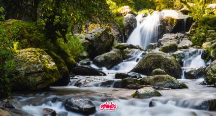 Dónde ir: Parque Nacional Los Dinamos conoce la cascada más cercana a CDMX