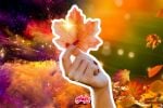 5 rituales que puedes hacer para recibir al otoño lleno de energía y abundancia