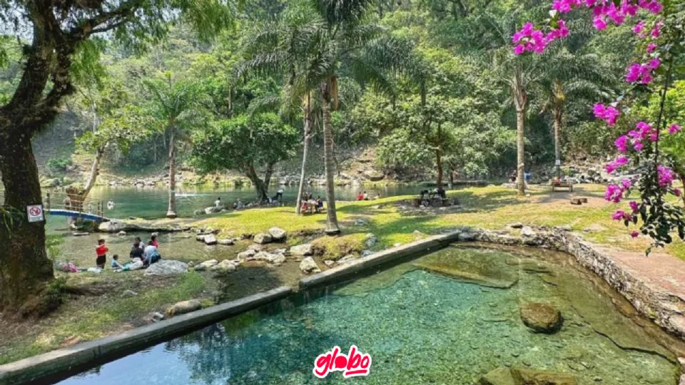 5 Cosas que puedes hacer en tu visita a Los Sifones, una alberca natural en Veracruz.