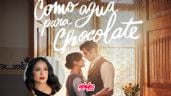 Foto ilustrativa de la nota titulada Como agua para chocolate ahora será serie de streaming, ¿Cuándo y dónde ver la producción de Salma Hayek?