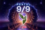 Portal 9/9: Ritual del laurel quemado para limpiar tu energía y empoderar tus manifestaciones