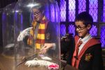 Harry Potter Magic at Play: Una experiencia imperdible para los fans